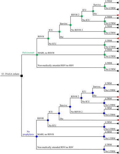 Figure 1. Decision tree describing the clinical pathway used in the model. Nodes represent points where more than one event is possible; the square node represents the decision addressed by the model. Branches represent the possible events that patients may experience. Triangles represent the decision tree endpoints. Abbreviations. ICU, intensive care unit; LTRM, long-term respiratory morbidity; MARI, medically-attended RSV infection; RSV, respiratory syncytial virus; RSVH, RSV-related hospitalization.