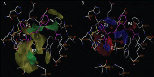 Figure 6.  CoMFA StDev*Coeff contour plots combined with the most potent ligand 69. (A) Steric contour map. Green contours indicate regions where bulky groups increase the activity (favoured level 80%); yellow contours indicate regions where bulky groups decrease the activity (disfavoured level 20%). (B) Electrostatic contour map. Red contours indicate regions where negative charges increase the activity (favoured level 20%); blue contours indicate regions where positive charges increase the activity (disfavoured level 80%). The inhibitor is shown in magenta stick.