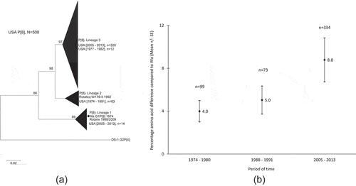 Figure 3. Phylogenetic relationship and changes of VP8* subunit sequences of P[8] RV strains reported in the USA from 1974 to 2013. (a): Phylogenetic tree of the VP8* subunit sequences of the 506 P[8] rotaviruses and the strain Wa (1974), which is indicated by a black circle. Bootstrap values greater than 70% are indicated in each node. The scale bar indicates number of substitution per site. (b): Genetic distance at amino acid level between circulating strains and the prototype Wa strain by three periods of time