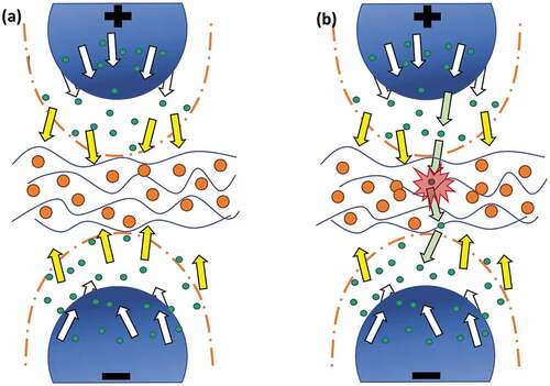 Figure 6. Illustration of the breakdown mechanism, which changes due to the addition of TiO2 particles into silicone films (indicated by blue-waved lines). White arrows indicate the traverse direction of free electrons (green dots) between the electrodes. Yellow arrows indicate how the TiO2 particles (orange dots) capture the charges, thereby enhancing breakdown strength. Green arrows indicate the liberated charges, which traverse through the voids among the particles, eventually leading to reduced breakdown strength.