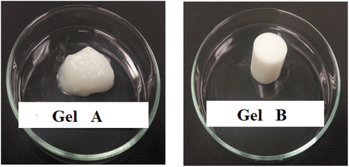 Figure 1. Rice gels. Gel A: soft gel that could not maintain its shape without a glass tube. Gel B: firm gel with a jelly-like consistency maintained its shape without a glass tube.