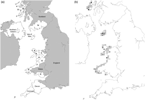 Figure 1. (a) Geographical areas referred to in the text in relation to the current and historic distribution of Choughs in the UK and Isle of Man (Wales areas A–H: A. Anglesey, B. Caernarfon, C. Denbighshire, D. Meirionnydd, E. Montgomery, F. Ceredigion, G. Pembrokeshire, H. Glamorgan. Scotland areas i–iv: i. Islay, ii. Colonsay, iii. Jura, iv. Dumfries & Galloway, v. Mull). (b) Distribution of Chough breeding pairs in 2014. Grey 10-km squares show areas of continued occupancy in 2002 and 2014. Range loss and expansion indicated by downward and upward pointing triangles, triangles overlaid squares show net increase and decrease in number of pairs within occupied squares (light grey = 1–2pairs, mid grey = 3–5 pairs, dark grey = 6–8 pairs).