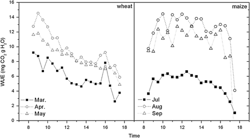Fig. 4  The diurnal variations of monthly averaged WUE during the vigorous growth periods of wheat (March, April and May) and maize (July, August and September) from 2002 to 2003 at Yucheng.