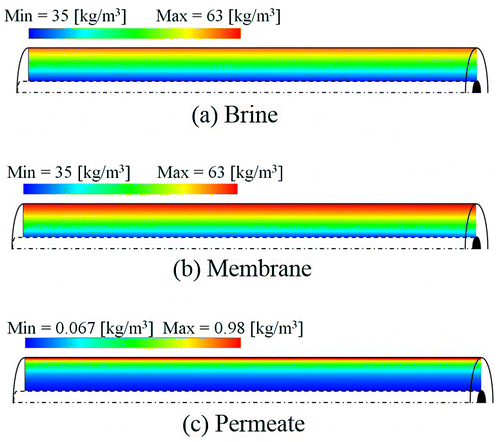 Figure 3. Concentration fields in brine, membrane and permeate phases.