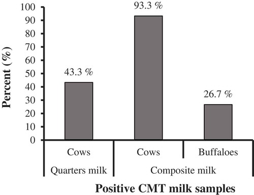 Figure 1. Prevalence of subclinical mastitis in the examined quarter and composite milk samples from cows and buffaloes using California Mastitis Test (CMT).