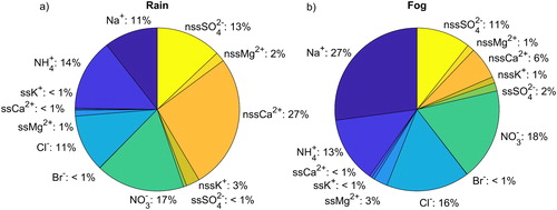 Fig. 2. Pie-plot of ion fractions (mol-%) measured in (a) rain and (b) fog samples during the CAEsAR campaign. Nss- and ss-fractions were calculated as explained in Section 2.2.