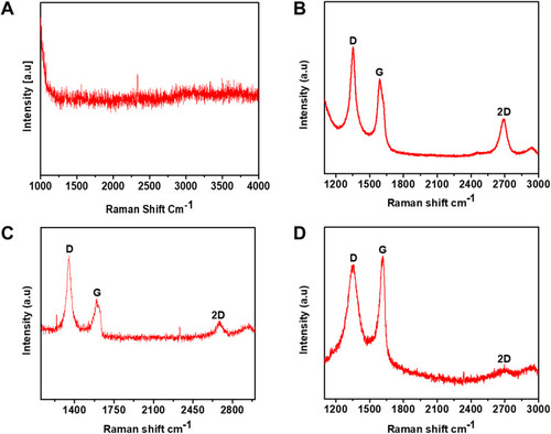 Figure 2 (A) No carbon coating while the flame is touched with the substrate. (B) rGO coating at a distance of 2.5 cm. (C) GO coating at a distance of 5 cm. (D) GO at a distance of 8 cm.Abbreviations: GO, graphene oxide; rGO, reduced graphene oxide.