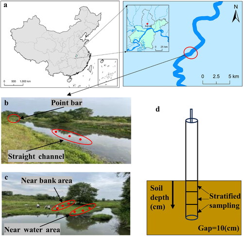 Figure 1. (a) Map of the study area, showing the location of test sites in the catchment; (b) scene photograph of the straight channel; (c) scene photograph of the point bar; (d) schematic diagram of stratified sampling.