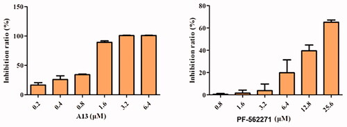 Figure 6. Antiproliferative activities of compound A13 and PF-562271 against A549 cells. Cell growth inhibition rate was measured by MTT assay. (mean ± SD, n = 3).