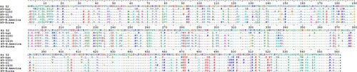 Figure 1. The complete open reading frame (ORF) of the HA gene of A/ Common Pochard/Kazakhstan/Kz52/2008 influenza virus (new subtype), compared to closely related H9 subtype isolates. Representative isolates for each lineage included: H9-bat: A/Bat/Egypt/381OP/2017(H9N2), H9-Y280: A/Chicken/Beijing/1/97(H9N2), H9-G1: A/quail/Hong Kong/G1/97(H9N2), H9-Y439: A/Duck/Hong Kong/Y439/97(H9N2), H9-N. America: A/Mallard/California/D1713634/2017(H9N2), H9-Korea: A/chicken/Korea/GH2/2007(H9N2).