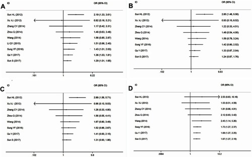 Figure S2 Cumulative meta-analyses according to publication year in ALDH2 rs671G>A polymorphism and ischemic stroke risk (A for A vs G model; B for GA vs GG model; C for GA + AA vs GG model; D for AA vs GG + GA model).