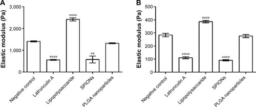 Figure 9 Atomic force spectroscopy measurements of the cell stiffness after incubation with different reagents or nanoparticles.Notes: The measured cells were (A) primary monocytes and (B) the MM6 cell line. Controls were without treatment (n=139/151) or incubated with 1 µM latrunculin A (n=169/133) to increase the elasticity and 2 µg/mL lipopolysaccharide (n=225/217) to decrease the elasticity. The investigated nanoparticles were 500 ng/mL SPIONs (n=150/211) or PLGA nanoparticles (n=171/215). Values are shown as mean ± SEM. Significance intervals are indicated by asterisks with the following intervals: P<0.01 (**) and P<0.0001 (****).Abbreviations: PLGA, poly(lactic-co-glycolic acid); SPIONs, starch-coated superparamagnetic iron oxide nanoparticles; SEM, standard error of the mean.