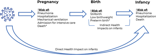 Figure 1. Direct and indirect health impacts of influenza on infants <6 months of age.