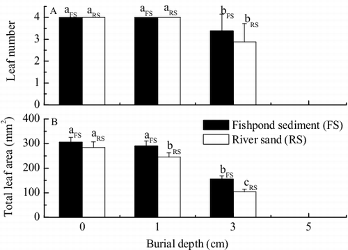 Figure 3. Effects of burial by fishpond sediment and river sand on (A) leaf number per plant and (B) total leaf area per plant of seedlings of V. natans after germination (mean ± SE). Values with the same lowercase letter in treatments of the same sediment type are not significantly different according to results of one-way ANOVA with Duncan's test at p = 0.05.