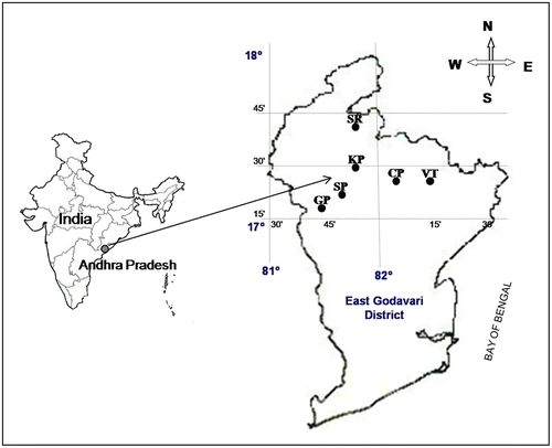 Figure 1. The study area: Map showing the locations of study sites in northcentral Eastern Ghats of India. Source: Copyright@Premavani (Citation2009).