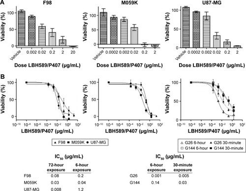 Figure 2 In vitro cytotoxicity of LBH589/P407 nano-micelles.Notes: (A) Dose–response effect on cell viability following 72 hours of incubation with F98, U87-MG and M059K glioma cell lines. Vehicle alone was not cytotoxic. (B) Logarithmic dose–response curves of LBH589/P407 nano-micelles after 72 and 6 hours of incubation with F98, U87-MG and M059K glioma cell lines. Dose–response curves of LBH589/P407 nano-micelles after 6 hours and 30 minutes of incubation with G144 and G26 patient-derived glioma stem cell lines. Tables show representative IC50 values for each condition. All the experiments were performed in triplicate.Abbreviations: P407, poloxamer 407; DAPI, 4,6-Diamidino-2-phenylindole, dihydrochloride.