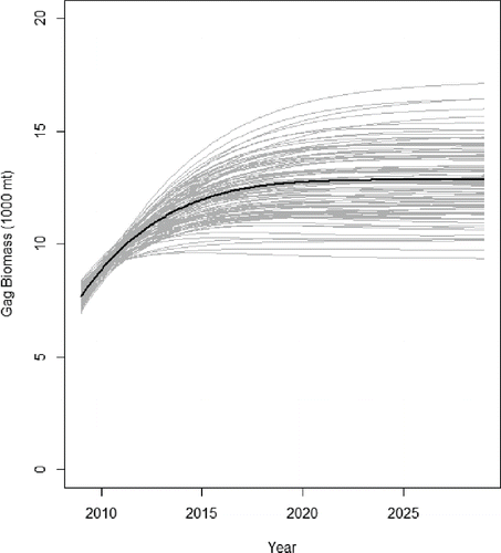 FIGURE 4. Gag projections under Frebuild = 0.16, where the solid black line represents the base run and the gray lines the Monte Carlo simulation trials in which the biomasses of all species were randomly chosen from uniform distributions.