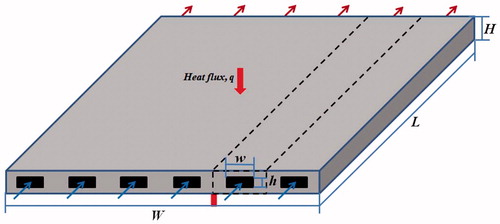 Figure 2. Schematic of the cooling plate of PEM fuel cells.