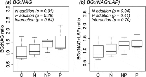 Figure 2. Effects of N and P fertilization on ratios of (a) BG to NAG and (b) BG to NAG + LAP. Data are illustrated as box plots (n = 3 per treatment). BG, β-1,4-glucosidase; NAG, β-1,4-acetylglucosaminidase; LAP, leucine aminopeptidase. Results of two-way analysis of variance are shown. The band near the middle of the box indicates the median value. The top and bottom of the box are the first and third quartiles, respectively. The whiskers show the maximum and minimum values.