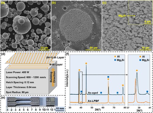 Figure 1. SEM image showing (a) the surface morphologies and (b,c) the cross-sectioned morphologies of pre-alloyed Al–5Mg2Si–2Mg–2Fe powder; (d) schematic diagram of laser beam scanning procedure; (e) optical micrograph showing the tensile samples and square samples; (f) XRD spectra of the Al–5Mg2Si–2Mg–2Fe alloy under as-LPBFed and as-aged conditions.