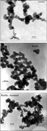 Figure 4. TEM images of the synthesised TiO2 samples calcined at 400°C for 2 h.