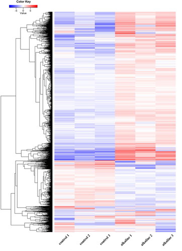 Figure 1. The expression profiles of differentially expressed genes in soybean under alkaline stress. The heat map was generated using R gplots package and shows the differentially expressed of genes.