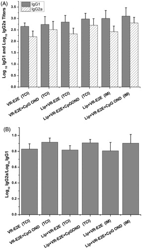 Figure 7. Anti-HBs specific IgG1 and IgG2a titers. (A) The log10 IgG1 and IgG2a titers. (B) The IgG2a/IgG1 ratio.