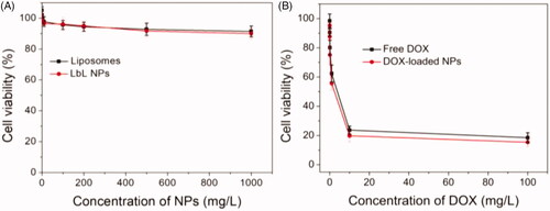 Figure 6. In vitro cytotoxicity of liposome and NPs (A), free DOX and DOX-loaded NPs (B) at different concentrations against A549 cells for 24 h.
