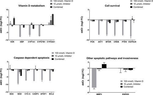 Figure 4. Relative expression levels expressed as Log22(−ΔΔCt) of related genes across 100 nmol/L calcitriol (vitamin D), 10 µmol/L AT7867 (inhibitor), and for both calcitriol and AT7867 for 24 h. Positive log2 fold change (FC) of expressions show the upregulated genes, and negative of those show downregulation of genes.