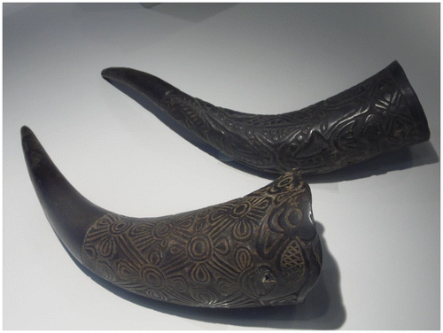 Figure 2. Buffalo horn drinking cups (title objects) collected from the Bamum Kingdom in the Cameroon Grassfields during the German era—1889 to 1915. Ethnological Museum, Berlin, February 2013.