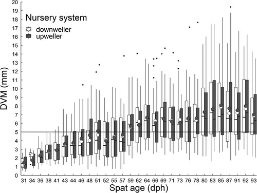 Figure 2. Dorsoventral measurement (DVM; mm) of Saccostrea lineage J spat in a downweller and upweller nursery system, from 31 to 93 days post hatch (dph). Y-axis intercept line at 5 mm DVM indicates spat size suitable for deployment.