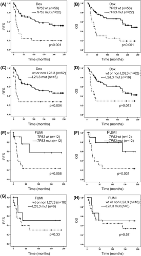 Figure 3. Survival related to tumour TP53 mutation or TP53 L2/L3 domain mutation status in patients with locally advanced breast cancer given neoadjuvant doxorubicin (A–D) or FUMI (E–H). OS, overall survival (patients with stage IV disease excluded); RFS, recurrence-free survival. Number of patients per group given in parenthesis. Censored values are marked with +.