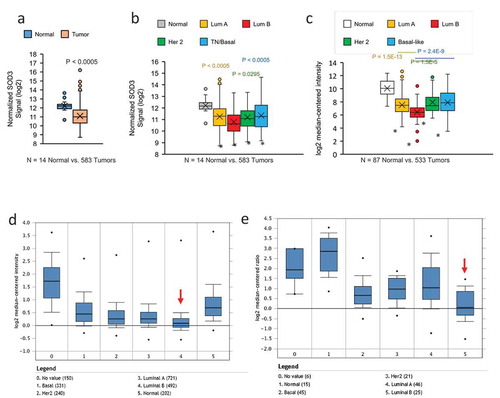 Figure 1. SOD3 expression is downregulated in breast cancer. (a) Comparison of SOD3 expression in breast tumours versus normal breast tissues with Agendia array analysis. N = 14 normal and 583 tumours. (b) Subtype-specific expression levels of SOD3. (c) Analysis of the SOD3 expression in the publicly available RNA seq data from TCGA comparing normal breast tissues versus breast tumours of various subtypes. In (B) and (C), * represents P < 0.0005 vs the normal tissues; individual P-values shown are comparison between the specific subtype vs the Luminal B subtype. Error bars indicate standard deviations. Oncomine analysis showing subtype specific expression of SOD3 from the Curtis Breast dataset (d) and Gluck Breast dataset (e). Numbers in brackets represent the numbers of tissue sample analysed