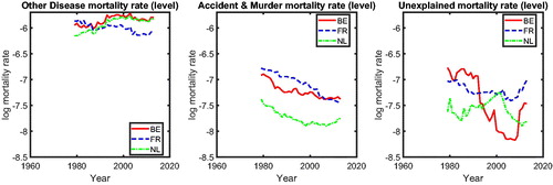 Figure C.1. International Comparison: DM, AMM, and UEM Mortality Rate (Level). Note: For DM and AMM, the mortality rates of Belgium, France, and The Netherlands are relatively stationary with mild changes at some periods. The figure shows that these cause-specific mortality rates across the three countries improves at a similar pace but do not converge to the same value, implying a potential international coherence. For UEM, the mortality rates are volatile in the three countries, making it hard to draw any conclusion.