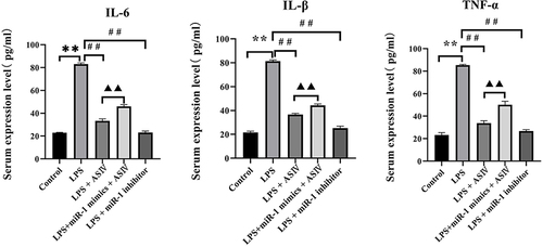 Figure 4 AS-IV reduces the levels of inflammatory cytokines in the serum of LPS-treated rats.