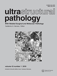 Cover image for Ultrastructural Pathology, Volume 43, Issue 1, 2019