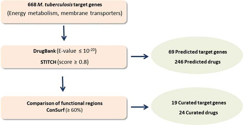 Figure 1. Flowchart summarizing the in silico drug repurposing strategy and corresponding results