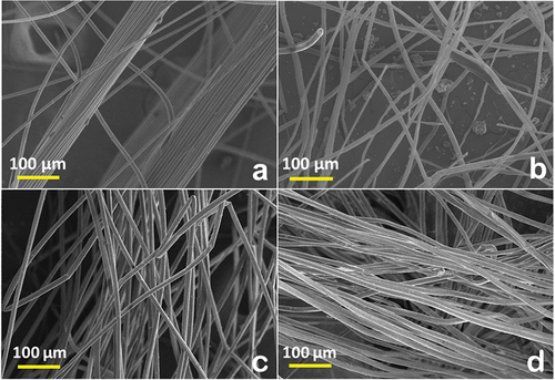 Figure 3. Seed micrograph: (a) Plume thistle, (b) Poplar, (c) Reed, and (d) Wild sugarcane fiber.