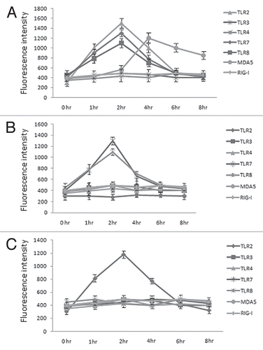 Figure 1 TLR/helicase expression in human airway epithelial cells. Primary human bronchial cells were either not stimulated (0 h) or stimulated at different time points with HRV6 (1 × 103 PFU/ml) (A) HRV6 ssRNA (B) or UV HRV6 (C). The cells were fixed and permeabilized, followed by antibody staining against the particular receptor molecule and incubation with the appropriate secondary antibody conjugated to FITC. Fluorescence was detected using a FACSC alibur (BectonDickinson). The data presented are the mean of three independent experiments.