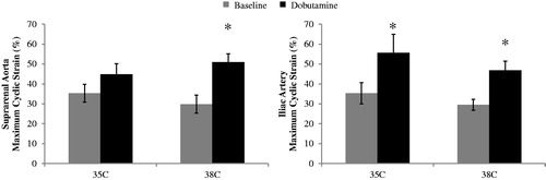 Figure 3. Maximum cyclic strain across the cardiac cycle for suprarenal aorta (left) and iliac artery (right) at baseline and dobutamine for two core body temperatures 35 and 38 °C (n = 8 adult male mice). Strain increases from baseline to dobutamine for the iliac at 35 °C and both vessels at 38 °C. Significance set at p < .05. Comparing baseline to dobutamine at a given location and temperature (*).