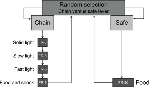 Figure 3 DCP contingency.