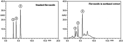 Figure 1. HPLC chromatograph of standard flavonoids and MEZA where (1) rutin (Rt: 3.0), (2) myricetin (Rt: 3.9), (3) quercetin (Rt: 5.6).