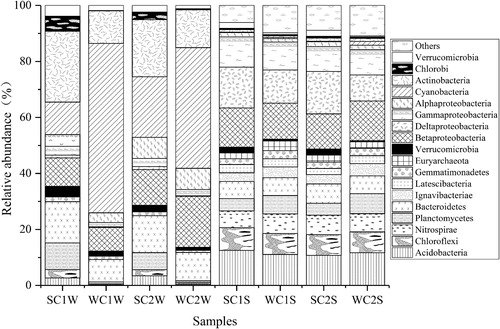 Figure 3. Relative abundance of bacterial communities at the phylum level in the water and sediment samples of Lake Chaohu.