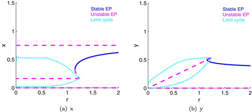 Figure 6. One parameter bifurcation diagrams for r with intermediate light (K= 0.75); c is held at its baseline value. x is on the left and y is on the right. There is a saddle-node bifurcation around r=1.15, a Hopf bifurcation around 1.23910, and another saddle-node bifurcation around r = 1.23951. For r<1.23910, there is a stable limit cycle; for r>1.15, there is a stable coexistence equilibrium. There may be bistability between a coexistence equilibrium and a limit cycle for r∈(1.15,1.23910).