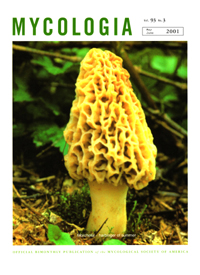 Cover image for Mycologia, Volume 93, Issue 3, 2001