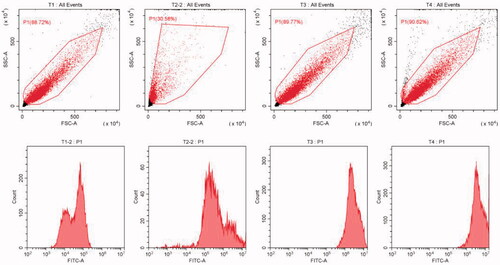 Figure 7. Cell flow chart of each group. (A) blank cell group, (B) free coumarin group, (C) Nab-PTX-PA fluorescence group, (C) Abraxane® fluorescence group.