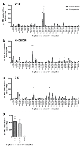 Figure 1. Screening IFNγ responses to peptide pools. Transgenic mouse strains with human DR4 (A) or DR1/HHDII (B) and parental C57Bl/6 (C and D) mice were used to screen IFNγ responses to peptides. Mice were immunized with pools of 4–6 non-overlapping human citrullinated ENO1 peptides. Ex vivo responses to stimulation with human and mouse (Mo) equivalent citrullinated peptides were assessed by IFNγ ELISpot. Media only responses were used as a negative control. For each pool n = 3. Statistical significance of peptide compared to media responses for each pool was determined by ANOVA with Dunnett's post-hoc test # p<0.05, ## p<0.01, ### p<0.001.