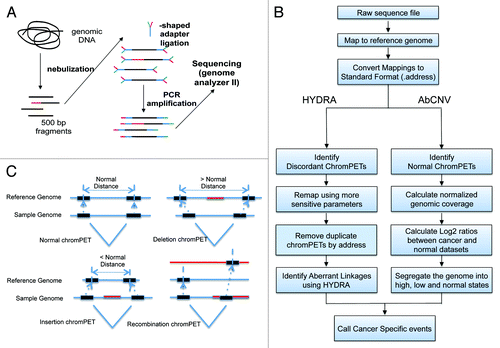 Figure 1. (A) Overview of the protocol followed to extract genomic DNA and prepare it for sequencing on the Illumina platform. (B) Flowchart depicting the data flow and analysis performed. (C) Different kinds of structural variants, and the logic for calling them.