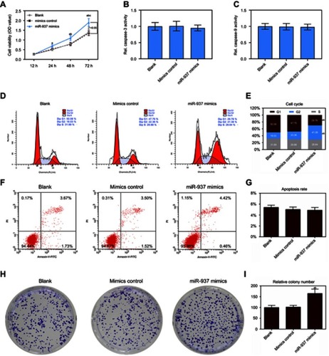 Figure 2 Effect of up-regulated miR-937 on apoptosis and proliferation. (A) The cell viability was detected by CCK8 assay in MCF7 cells transfection with mimics and their negative control; (B and C) the caspase-3/9 activities measured using biochemical analysis in MCF7 cells transfection with mimics/negative control; (D and E) cell cycle was estimated by flow cytometry assay in MCF7 cells transfection with mimics and negative control; (F and G) cell apoptosis was detected by flow cytometry assay in MCF7 cells transfection with mimics/negative control; (H and I) colony formation was used to detect the ability of cell proliferation in MCF7 cells transfection with mimics/negative control. Data are presented as the mean ± standard deviation. ap<0.05 versus blank group, bp<0.05 versus mimics group.