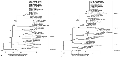 Figure 5. Phylogenetic trees constructed by the neighbour-joining method as implemented in the Lasergene software (DNASTAR Inc.) based on the sequences of (5a) the helicase gene of avian HEV (130-base-pair fragment) and (5b) the capsid gene of avian HEV (124-base-pair fragment), respectively. The nucleotide substitution per 100 residues is given; bootstrap values are indicated for the major nodes. Sequences retrieved within this study are written in bold. The type of bird (BB, broiler breeder or DOC, day-old chick) and the week of age are indicated. *Samples from this farm (also from previous investigations).
